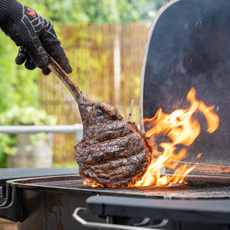 The MEATER PRO® Wireless BBQ Thermometer with Extended Range